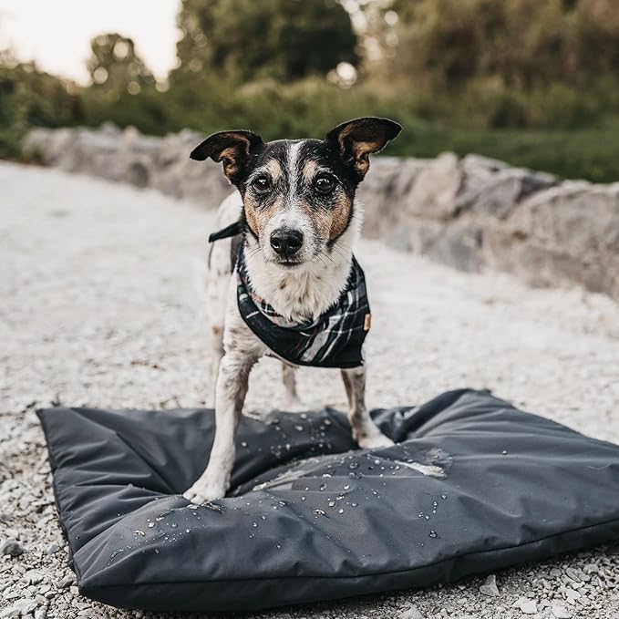 ANANMEI Dog Bed Cover Replacement Washable. 36 "L X 27 "W X 3 "H Washable Removable Orthopedic, Cooling Gel and Memory Foam pet Bed Protector Cover, Cover only (Black)