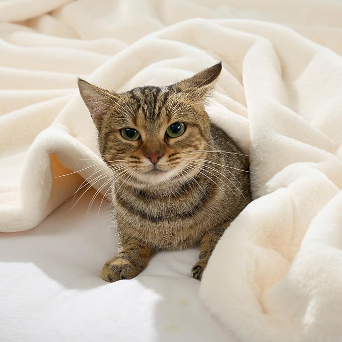 COZY KISS Waterproof Pet Blanket, Ultra Soft Faux Fur Throw Blanket for Couch, Cozy Warm Plush Blanket for Sofa Bedroom Living Room, Liquid Pee Proof for Large Dog or Cat, 30x40 inch, Beige