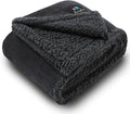 Luciphia Waterproof Bed Blanket Washable,Soft Sherpa Fleece Puppy Reversible Throw Blankets for Small Dog Cat, Furniture Cover Protector Couch Bed from Liquid Pee and Pet Fur, Black, 40" x 28"