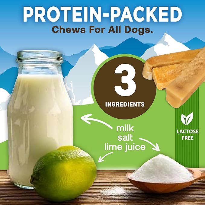 EcoKind Premium Gold Yak Cheese Himalayan Dog Chews, Healthy Dog Treats for Small Dogs, High Protein, All Natural, Long-Lasting Chew, Small - 4 Chews