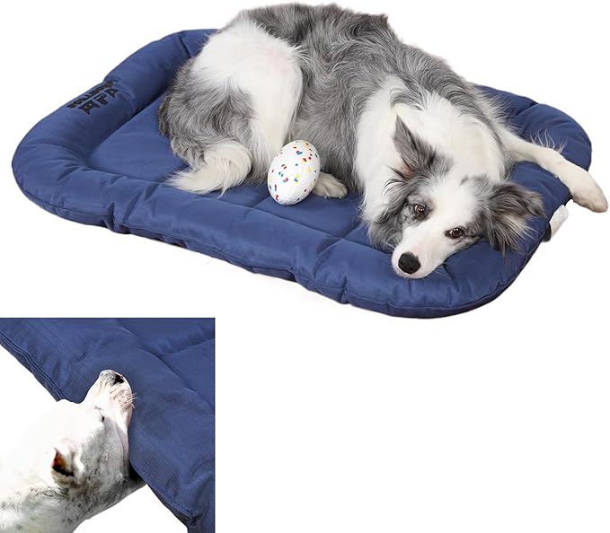 Warfort Durable Outdoor Dog Bed with Pillow Around Curling Sleep Fully Waterproof Indoor Cat Bed Crate Mat Stable Kennel Pad, for Pets (Blue, XX-Large(48 * 31in))