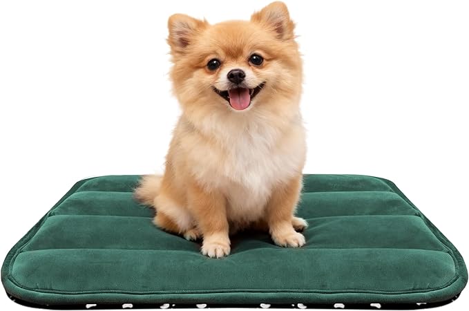 Fogkiss Dog Bed Mat, Reversible Dog Crate Pad with Washable Kennel Mat and Soft Foam, Flat Pet Bed for Dogs & Cats, for Crates Carriers & Travel (Green, 23" L*14" W*1.5" Th)