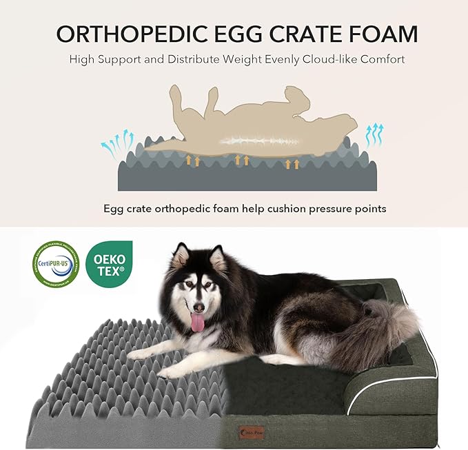 Casa Paw Orthopedic Dog Beds for Extra Large Sized Dogs, Waterproof Memory Foam XL Pet Bed with Sides 48x30Inch, Non-Slip and Egg-Crate Foam Big Dog Couch Bed with Removable Washable Cover, Dark Green