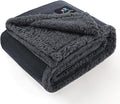 Luciphia Waterproof Bed Blanket Washable,Soft Sherpa Fleece Puppy Reversible Throw Blankets for Small Dog Cat,Furniture Cover Protector Couch Bed from Liquid Pee and Pet Fur, Grey, 40" x 28"