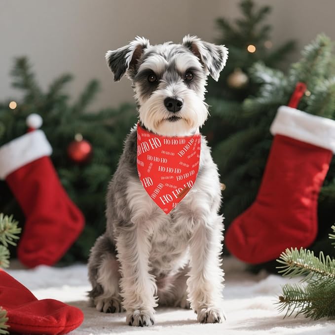 PTDECOR Christmas Dog Bandana, HOHO Santa Design Reversible Holiday Pet Scarf, Premium Durable Fabric, Red Green Triangle Christmas Bandanas for Small Dogs Pets (Small)