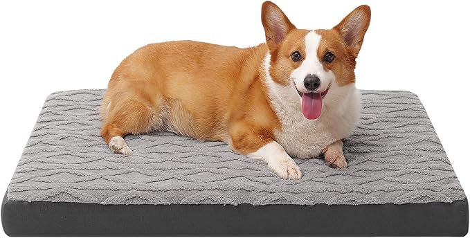 Maihandasi Orthopedic Dog Bed - Waterproof & Machine Washable Plush Pet Bed with Non-Slip Bottom, Soft Memory Foam Mattress for Small Dogs and Cats, 23x17 Inch, Grey