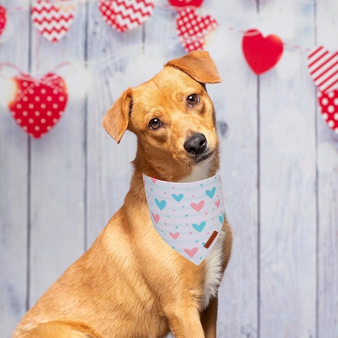 ADOGGYGO Valentine Dog Bandanas 2 Pack, Triangle Reversible Pink White Heart Dog Scarf, Premium Durable Fabric, Pet Valentine Bandana for Medium Large Dogs (Large)