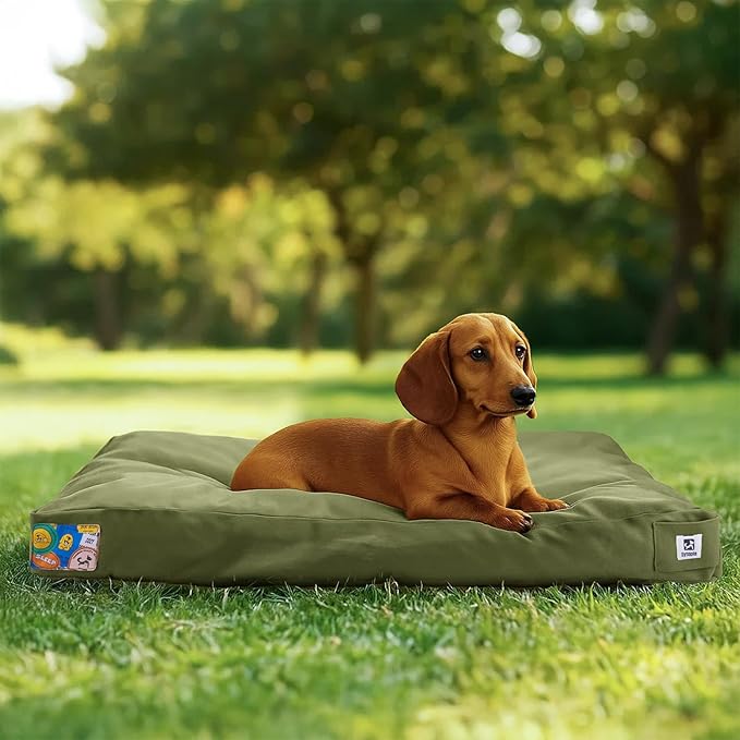Sytopia 30 Inch Canvas Outdoor Dog Bed for Medium Dogs, Waterproof Washable Removable Cover, Indoor Patio Pet Pad, Green