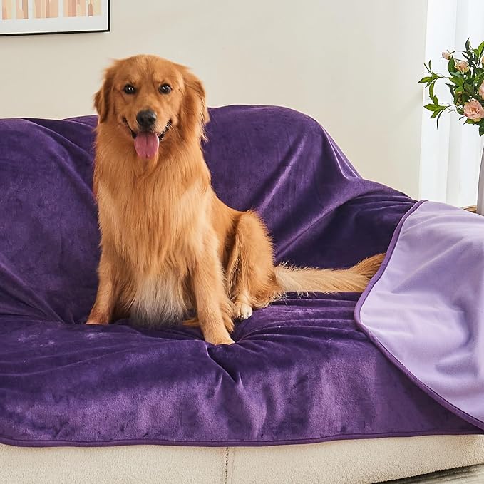 Yaning Waterproof Blanket 40"x60" for Adults, Reversible Waterproof Bed Cover for Dogs Cats Pets, Soft Leakproof Blanket for Bed Couch Sofa Furniture Protector, Dark Purple/Light Purple