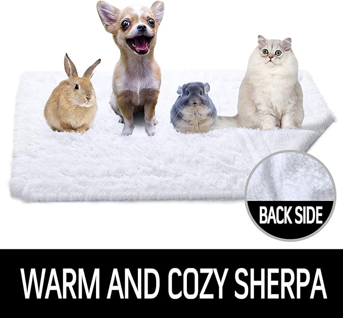 LOCHAS Luxury Fluffy Dog Blanket, Extra Soft and Warm Sherpa Fleece Pet Blankets for Dogs Cats, Plush Furry Faux Fur Puppy Throw Cover, 20''x30'' White
