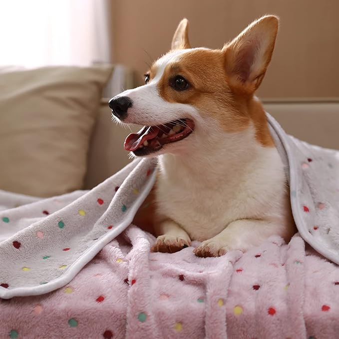 Luciphia 1 Pack 3 Blankets Super Soft Cute Dot Pattern Pet Blanket Flannel Throw for Dog Puppy Cat Small(23x16), Brown
