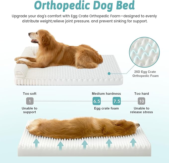 COZY KISS Cute Dog Bed, Faux Rabbit Fur Orthopedic Foam Dog Bed with Sides, Removable Washable Cover & Waterproof Lining, Comfortable Pet Couch for Large Dogs, Cream (44" L x 32" W x 7" Th)