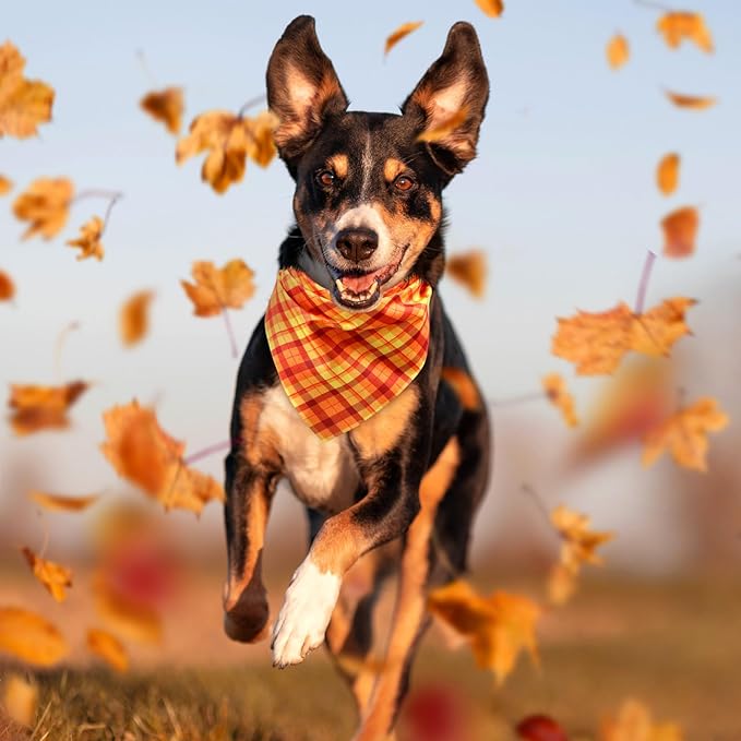 Abbylike 50 Pcs Thanksgiving Dog Bandanas Bulk Plaid Bandanas for Dogs Triangle Kerchief Bib Scarf for Pets Fall Costume Photo Props Accessories Pet Shops Groomers, 25 Styles (31.5 x 21.7 x 21.7)