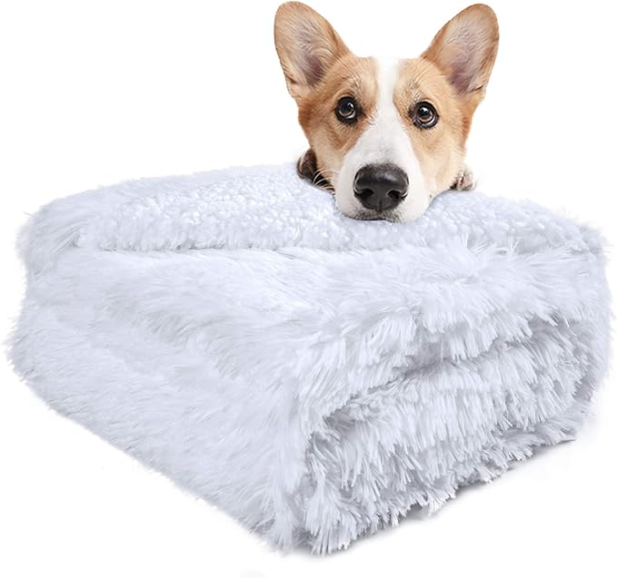 LOCHAS Luxury Fluffy Dog Blanket, Extra Soft and Warm Sherpa Fleece Pet Blankets for Dogs Cats, Plush Furry Faux Fur Puppy Throw Cover, 20''x30'' White