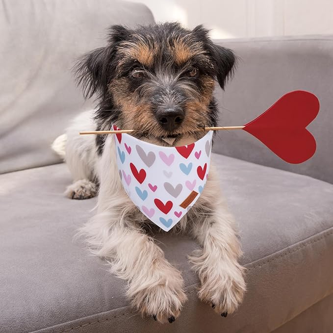 PTDECOR Valentine Dog Bandana, Reversible Holiday Dog Scarf, Multi Size, Heart Valentine Bandanas for Small Dogs Pets (Small)
