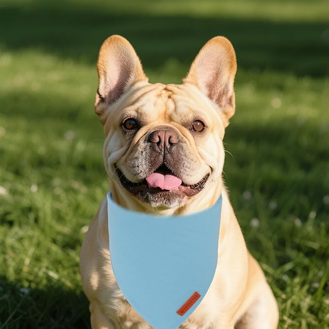 ADOGGYGO 2 Pack Blue Dog Bandanas, Soft Cotton Solid Color Pet Triangle Scarf, Adjustable DIY Blue Boy Birthday Bandanas for Small Dogs (Small)