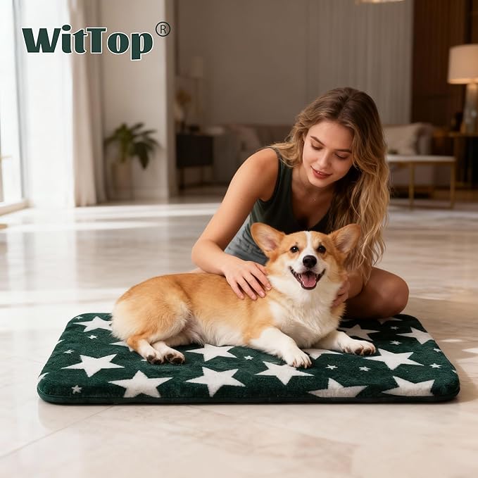 Wittop Washable Dog Bed Plush Orthopedic Outdoor Crate Mat with Non-Slip Bottom,Luxe Soft Kennel Pad for Pets, Cozy Cage Cushion & Pet Sleeping Mattress Large Sized,Medium,Small Dogs,24x18 inch,Green