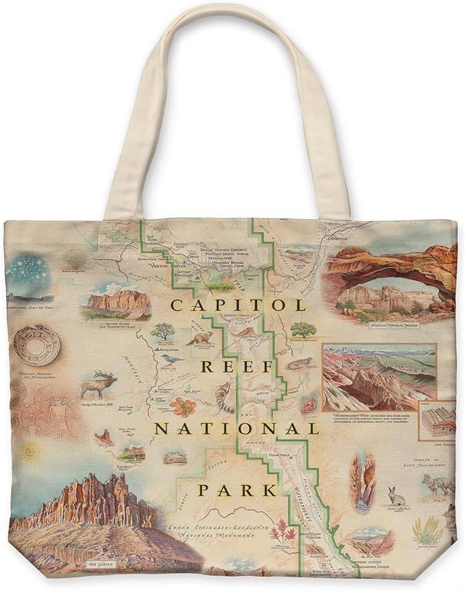 Xplorer Maps Canvas Tote Bag with Handles, Cloth Grocery Shopping Bag, Reusable & Eco-friendly Bag, 100% Cotton, Washable