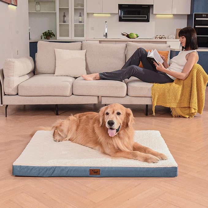 Tail Stories Orthopedic Dog Bed for Extra Large Dogs, XL Comfort Pet Mat for Large Sized Dog 44x32 Inch, Egg Crate Foam with Removable Washable Oxford Cover, Blue White