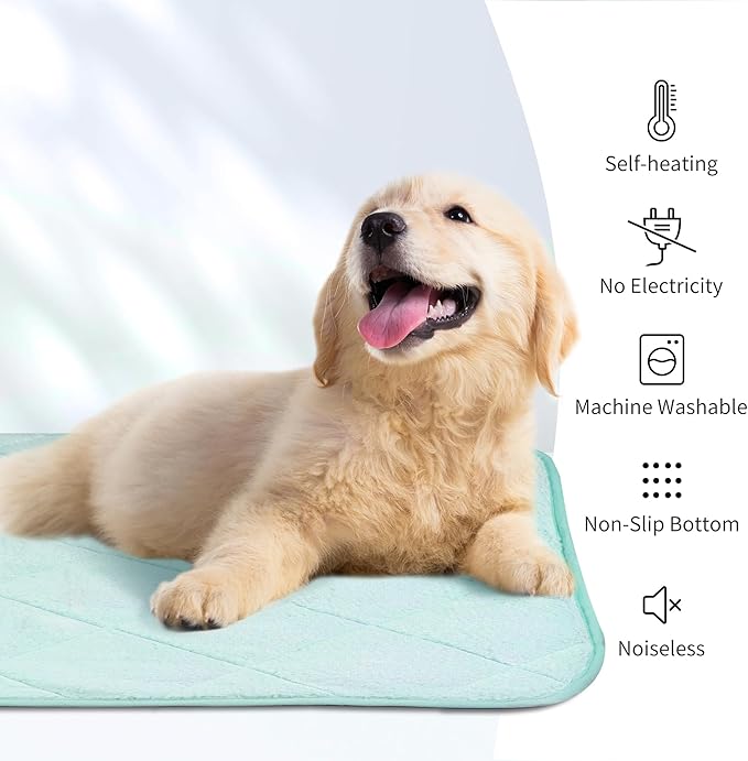 NWK Fluffy Self Warming Cat Mat, Cat Blanket, Thermal Dog Mat, Washable, Non-Slip Bottom for Sofa & Crate & Kennel & Car Seat (Mint Green, Small (20'' X 16'' X 0.4''))