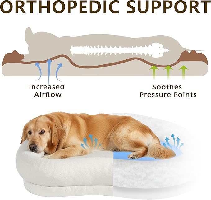 LELEFIDO Orthopedic Dog Beds for Large Dogs, High-Density Foam Support Pet Bed with Cloud-Like Bolster Sides, Non-Slip Bottom, Washable Removable Cover, Pet Couch Bed for Medium Large Dogs