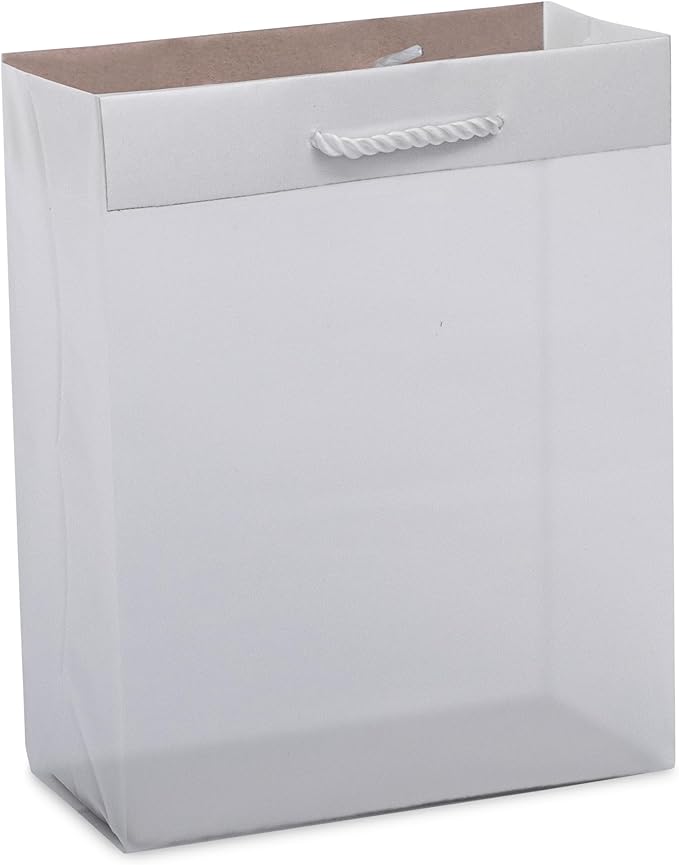 Prime Line Packaging Frosted White Gift Bags, Reusable Shopping Bags with Rope Handles for Retail, Merchandise, Small Business, Boutiques, Bulk, 8x4x10, 100 Pack