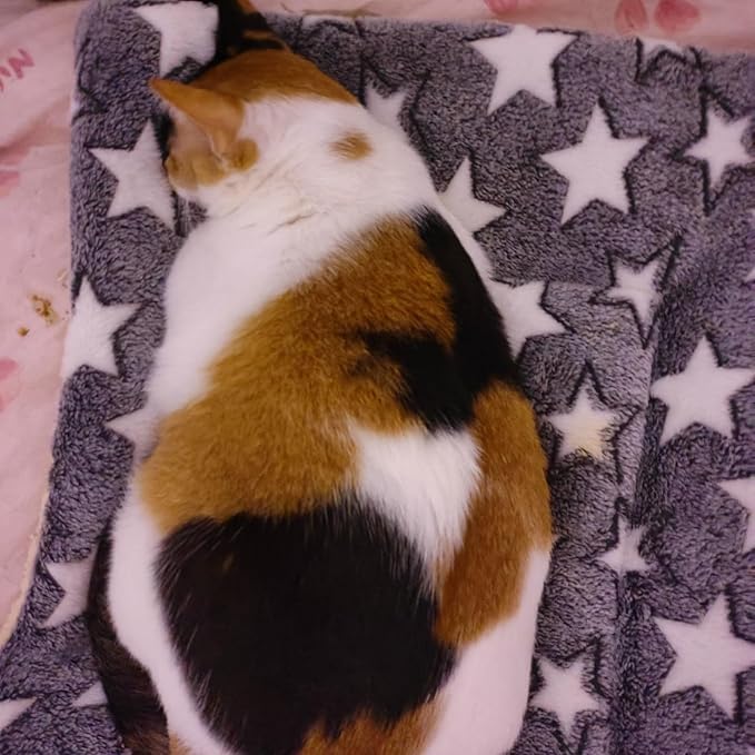 Self Warming Pet Pad, Heated Cat Bed for Indoor Cats & Small Dogs, Energy-Free Thermal Plush Pad with Gray Star Pattern, Orthopedic Soft Cushion for Arthritis, Winter Warm Bed (27.17x18.9 Inch)