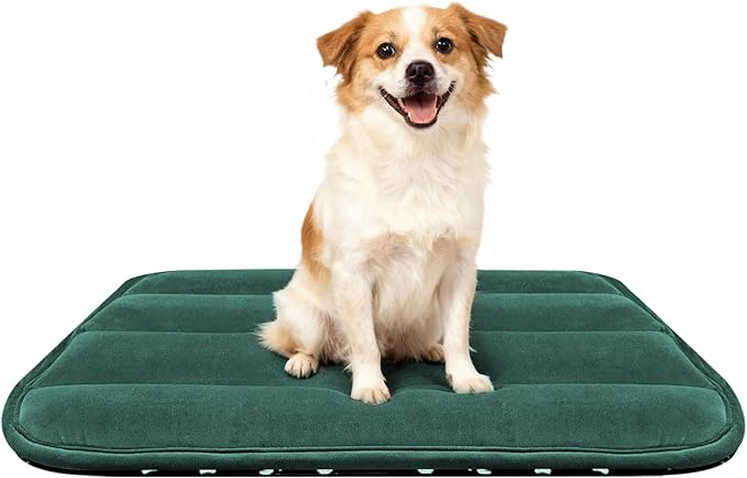 Fogkiss Dog Bed Mat, Reversible Dog Crate Pad with Washable Kennel Mat and Soft Foam, Flat Pet Bed for Dogs & Cats, for Crates Carriers & Travel (Green, 28" L*16" W*1.5" Th)
