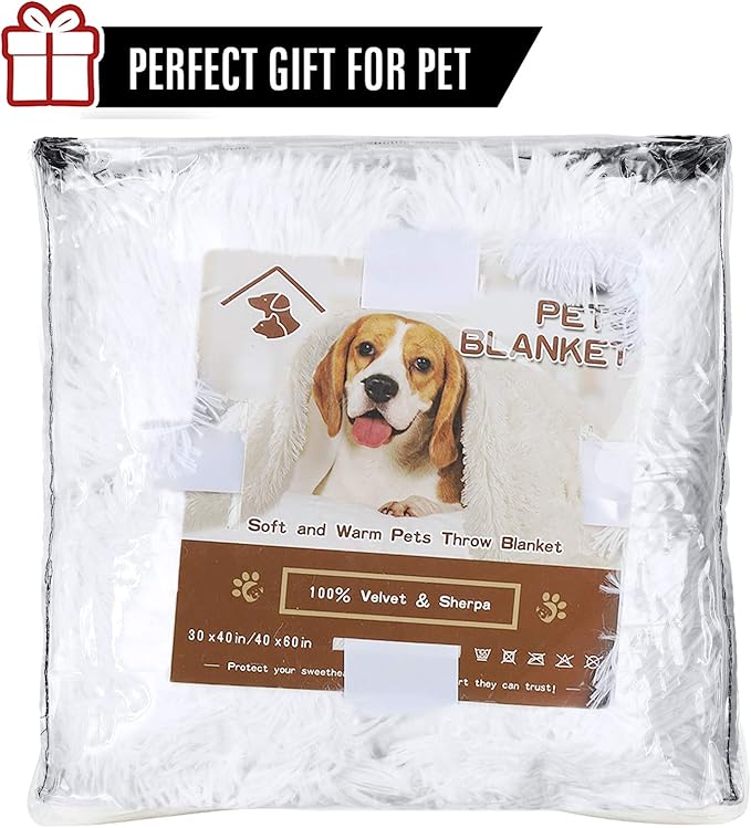 LOCHAS Luxury Fluffy Dog Blanket, Extra Soft and Warm Sherpa Fleece Pet Blankets for Dogs Cats, Plush Furry Faux Fur Puppy Throw Cover, 20''x30'' White