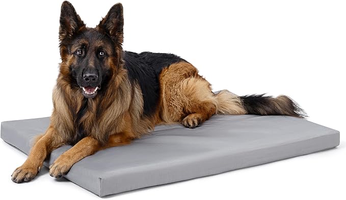 PELZIN Cybarmour Indestructible Dog Bed - Outdoor Waterproof Chew Proof Dog Crate Pad - Orthopedic Kennel Mat for Aggressive Chewers - Extra Large Breeds & Fits 48-Inch Crate - 47"x29", Limestone