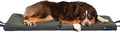 Blue-9 Pet Products Restore+ Double Dog Bed, Durable, Water Resistant, and Washable Design, 24” x 48”