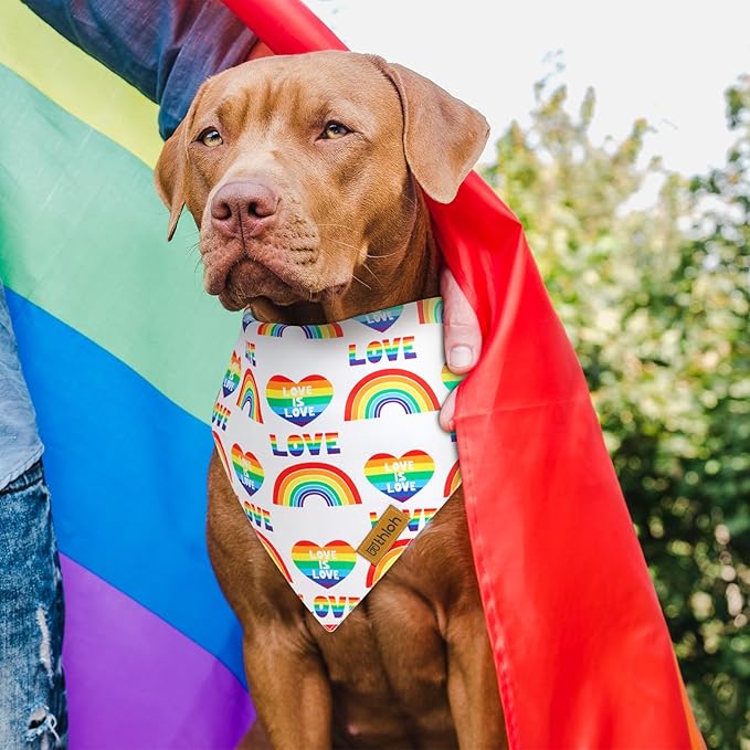 THLOH Pride Dog Bandanas - 2 Pack Reversible LGBT LGBT+ Love is Love Pet Scarf for Boy and Girl | Premium Durable Fabric | Rainbow Bandana for Small Medium Large and Extra Large Dogs (Large)
