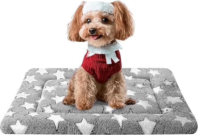 Fogkiss Dog Bed Mat, Reversible Crate Pad & Cute Dog Bed - Machine Washable Kennel Mat with Ultra Soft for Small Dogs (Cool/Warm), 24" x 18", Grey&Star