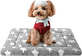 Fogkiss Dog Bed Mat, Reversible Crate Pad & Cute Dog Bed - Machine Washable Kennel Mat with Ultra Soft for Small Dogs (Cool/Warm), 24" x 18", Grey&Star