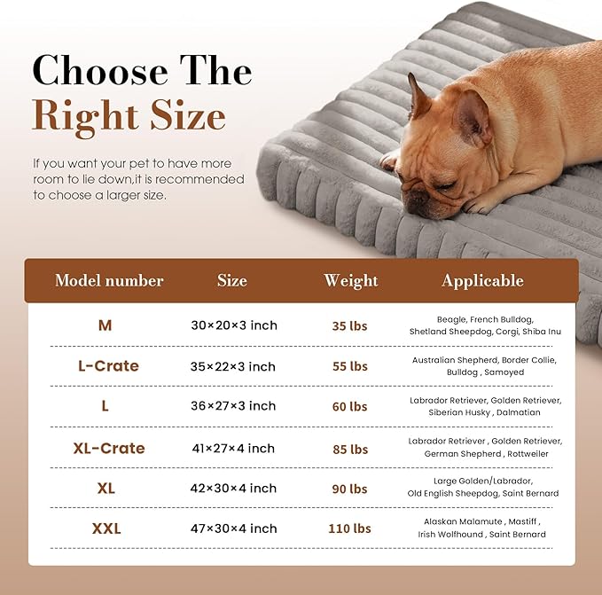 Cozila Orthopedic Dog Bed Medium Size Dog, Pet Beds with Waterproof Lining, Soft Short Plush Surface & Egg Crate Foam, Machine Washable Pet Mat with Removable Cover & Anti Slip Bottom