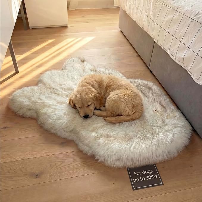 IHAPPYDOG Luxury Faux Fur Orthopedic Dog Bed, Memory Foam Dog Bed for Small, Medium, Large and XL Pets, Fluffy Pet Rug with Waterproof and Washable Cover (White w/Brown Tips, 40"x25")