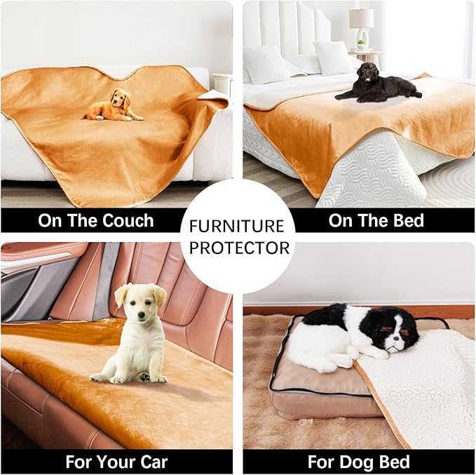 Bigbeer Waterproof Dog Blankets for Medium Dogs, Washable Pet Blanket for Indoor Cats, Plush Sherpa Puppy Throw Furniture Protector for Bed Couch Sofa(30"x40",M,Orange)