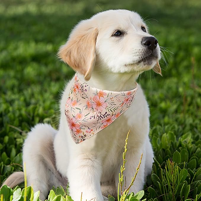 DORUI 4 Pack Dog Bandanas,Pet Bandanas, Premium Durable Fabric, Unique Design, Adjustable Scarf for Cat Puppy Dogs(Small)