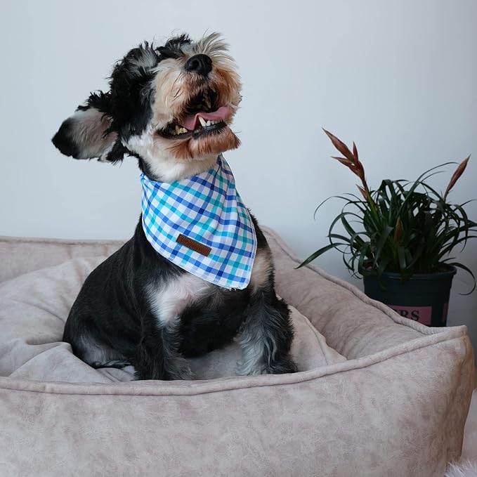 UP URARA PUP Summer Bandana - Comfortable Cotton Grid Triangle Bid Scarf for Puppy, Washable Pet Kerchief for Boy or Girl Dogs or Cats, Blue and White Cute Bandana, Classic Dog Bid Scarf