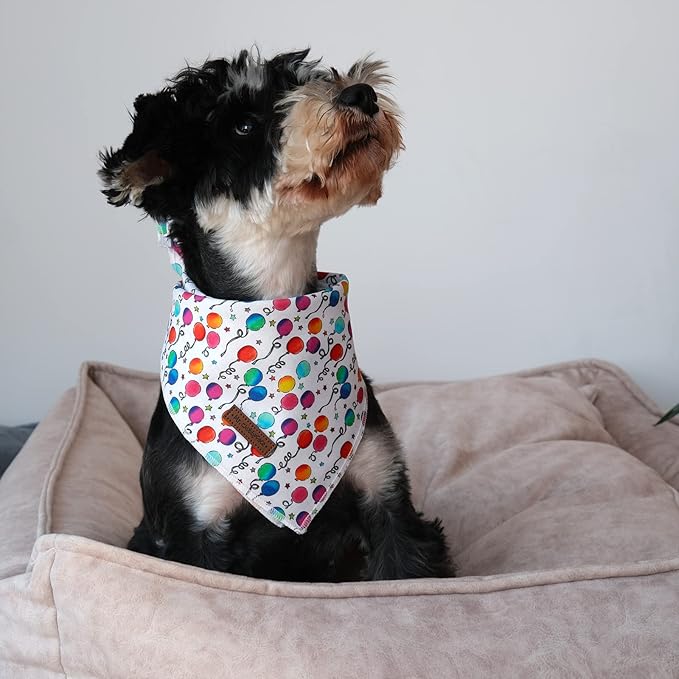 MR. CHUBBYFACE Birthday Dog Bandanas Reversible Triangle Bibs Scarf Accessories for Dogs Cats Pets C:Balloon