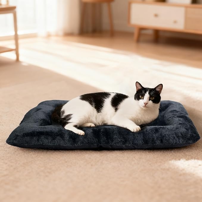 Pet Bed for Crate 22 x 13 inch Fit Dogs or Cats Washable&Anti-Slip,Ultra Soft XS Dog Beds Kennel Pad for Cage Soft Flat Puppy Kitten Cushion Sleeping Mat,Black