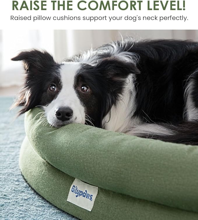 bilypaws Orthopedic Dog Bed for Large Dogs, Pet Sofa Bed with Egg Crate Foam, 4-Sided Bolster, Removable Washable Cover & Anti-Slip Bottom, X-Large Calliste Green