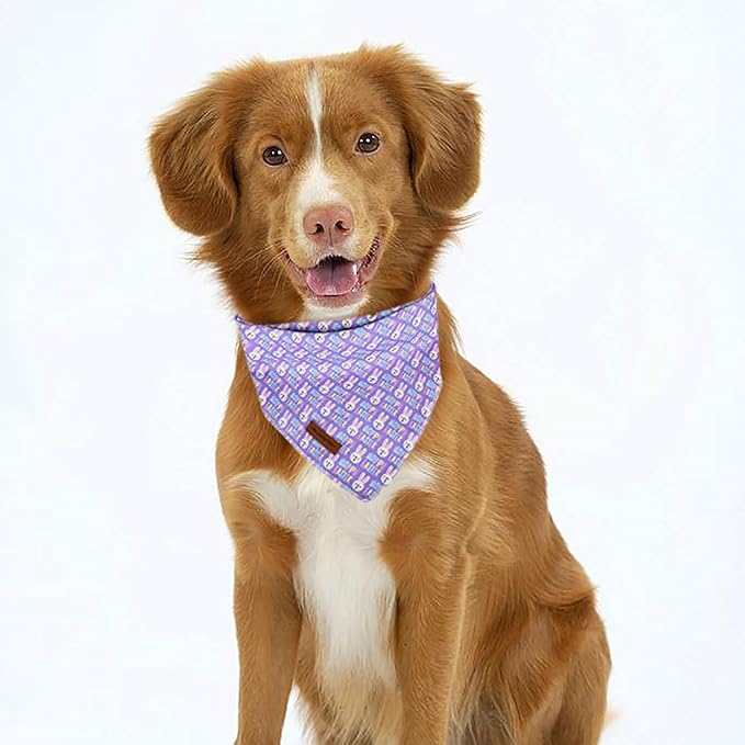 MR. CHUBBYFACE Easter Dog Bandanas Reversible Triangle Bibs Scarf Accessories for Dogs Cats Pets
