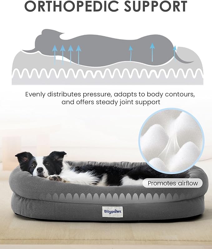 bilypaws Orthopedic Dog Bed for Small Medium Size Dogs, Pet Sofa Bed with Egg Crate Foam, 4-Sided Bolster, Reversible Mattress, Removable Washable Cover & Anti-Slip Bottom, Dark Gray
