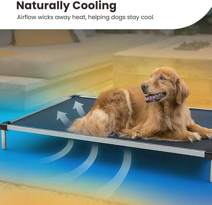 K9 Ballistics Chew Proof Elevated Outdoor Cooling Cot Bed for Medium Dogs - Virtually Indestructible, Preassembled, Withstands Aggressive Chewers - M, Ripstop Blue Quartz