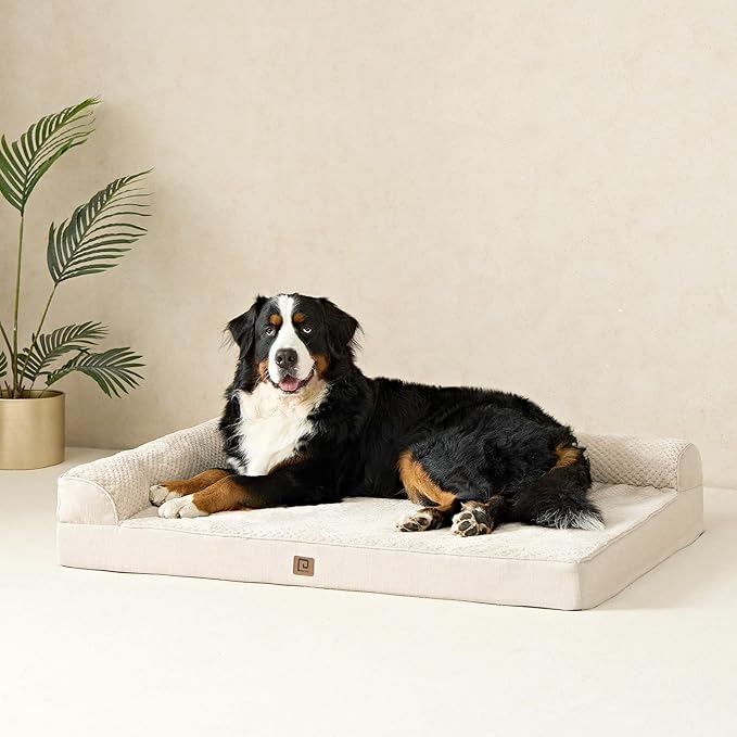 EHEYCIGA XXL Dog Bed Memory Foam, Orthopedic Giant Dog Bed Jumbo with Washable Removable Cover, Waterproof Pet Sofa Couch with Nonskid Bottom, 48x35x7.5, Beige