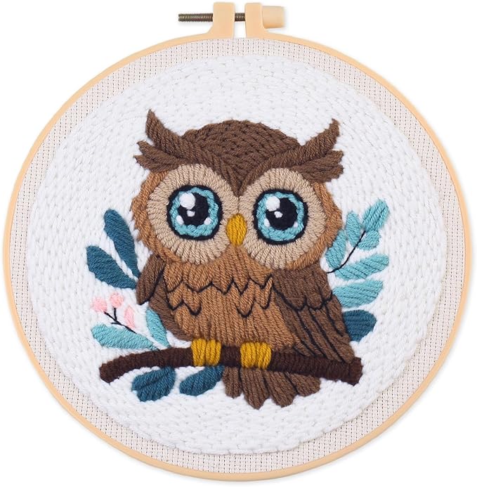 Myfelicity Punch Needle Embroidery Kit, Beginner Craft Set with Animal Pattern Design, 7.9 Inch Hoop (owl)