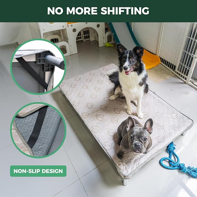 FXW TitanNest Chew-Proof Elevated Dog Bed, Raised Cot for Indoor/Outdoor/Camping Use, Durable & Waterproof Cooling Pet Bed with Exclusive Cover for Small Dogs, 35.0" L x 22.0" W x 4.5" H, Black