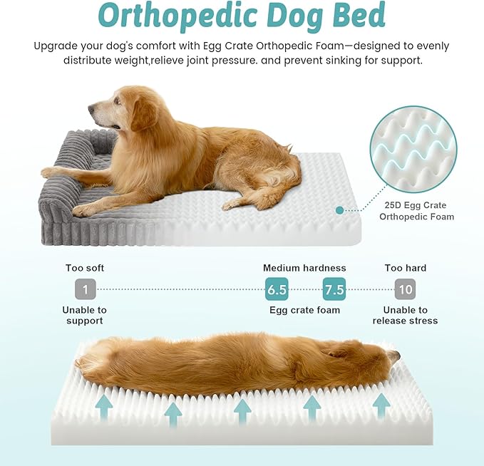 COZY KISS Cute Dog Bed, Faux Rabbit Fur Orthopedic Foam Dog Bed with Sides, Removable Washable Cover & Waterproof Lining, Comfortable Pet Couch for Medium Dogs, Grey (36" L x 27" W x 6.5" Th)
