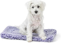 PELZIN Stoutwool Indestructible Dog Bed - Fluffy Chew Proof Dog Crate Pad - Tough Kennel Pad for Aggressive Chewers - Ideal for Extra Small Breeds & Fits 22-Inch Crate - 21"x12", Jacaranda
